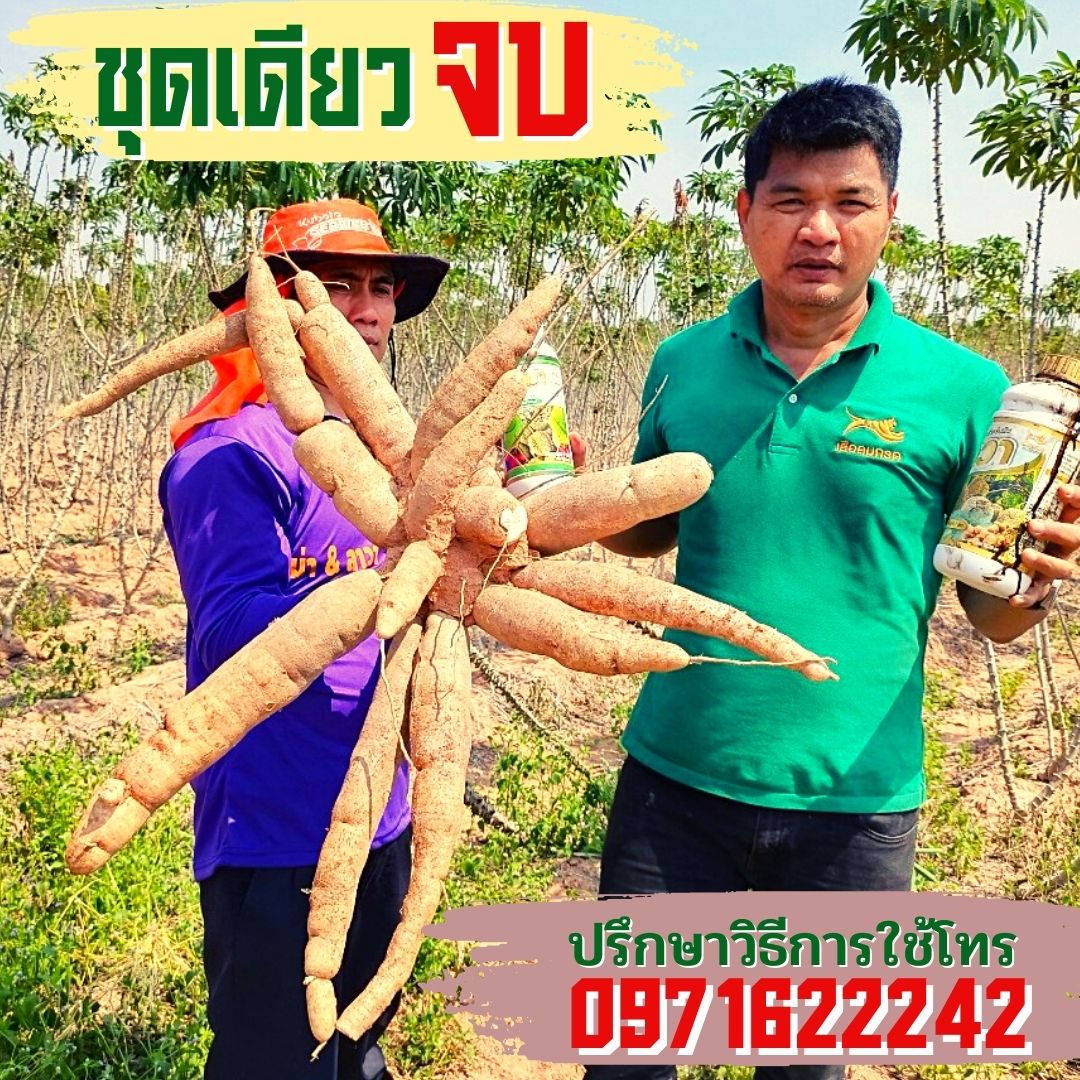 โปรโมชั่นชุดกลาง แมกม่า1ลิตร ลาวา1ลิตร