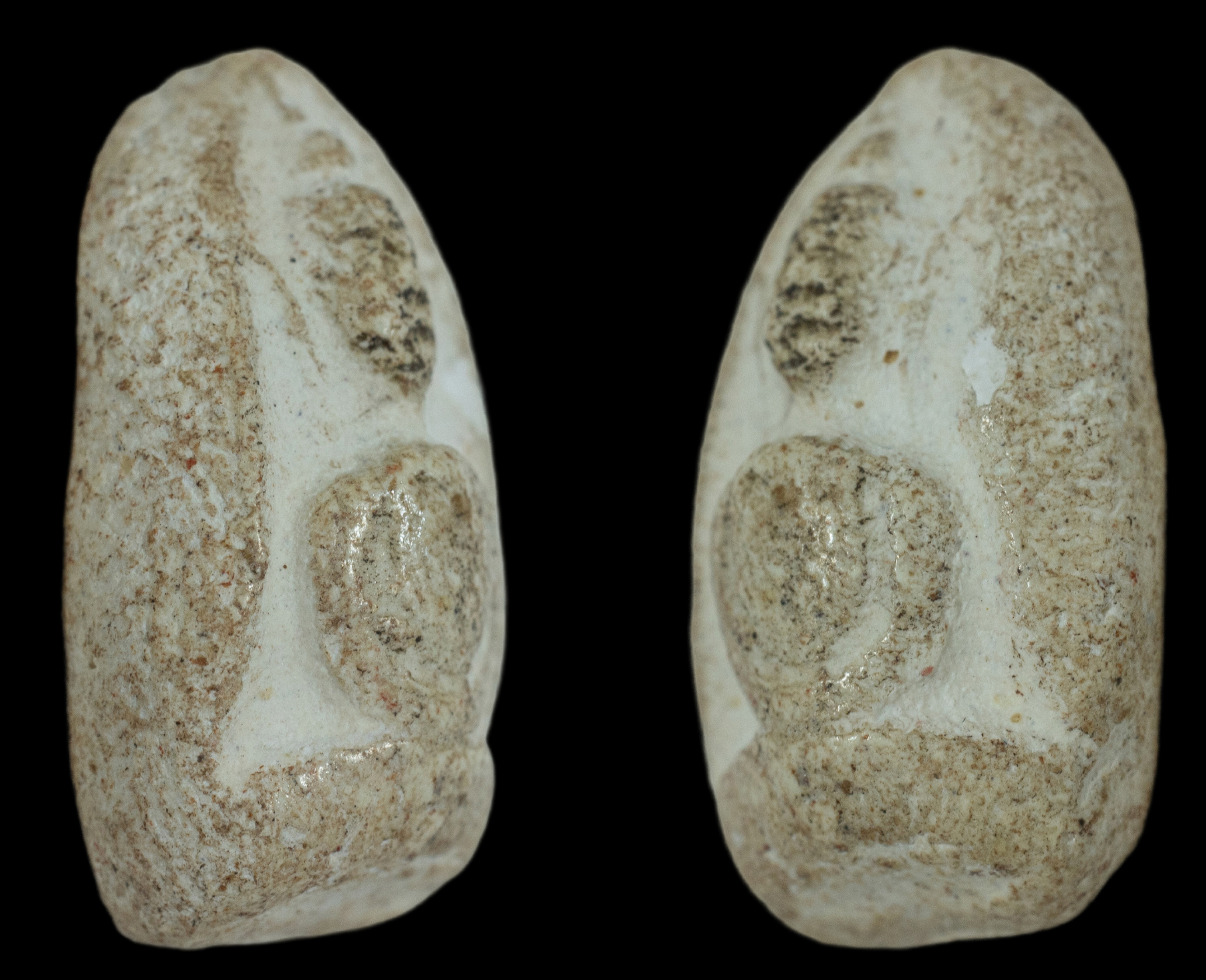 พระในกระถางธูปพิมพ์วัดพลับ หลวงพ่อสุด วัดกาหลง สมุทรสาคร ปี 2485