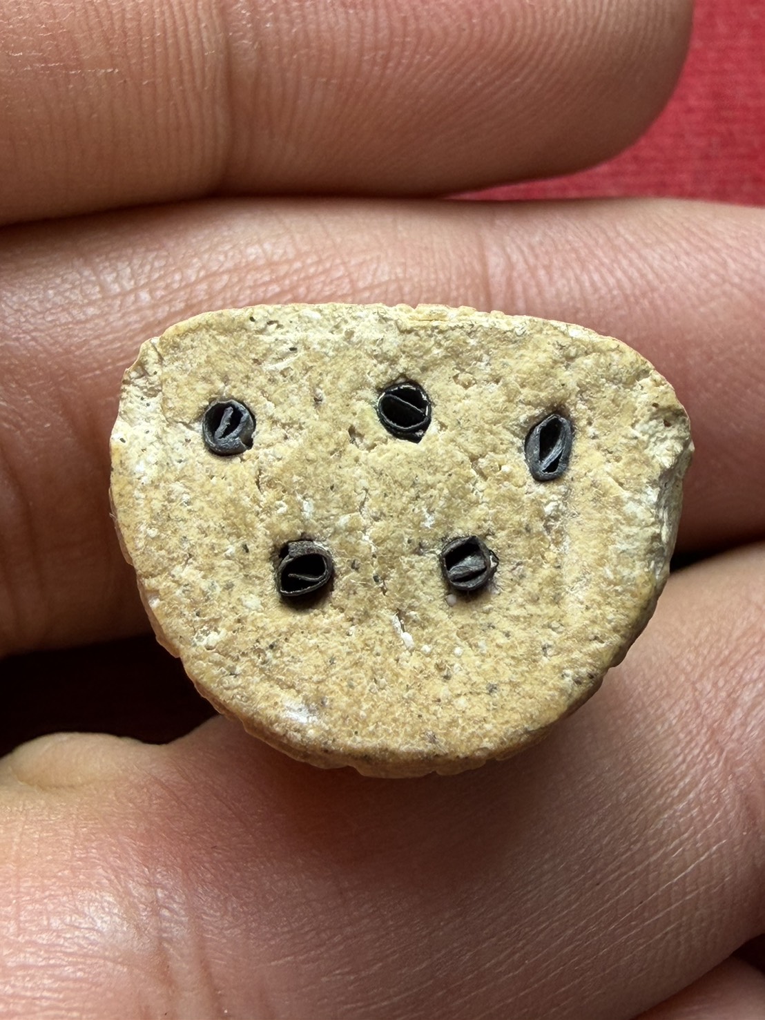 พระปิดตา ส.พัฒนกิจ หลวงปู่เทียน วัดโบสถ์ จ.ปทุมธานี หลวงพ่อลมูล วัดเสด็จ จ.ปทุมธานี (SKU-13216)