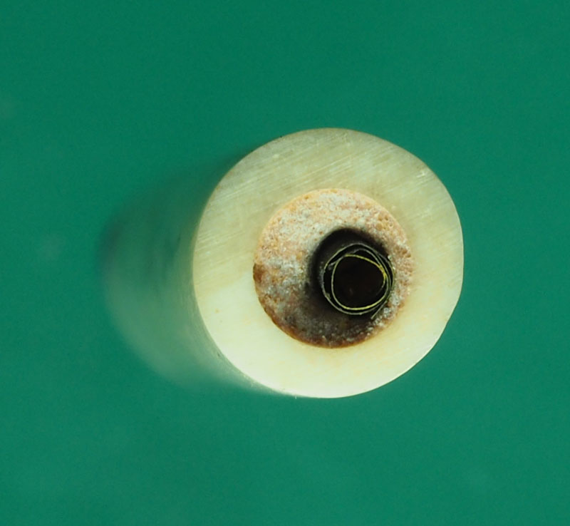 *31306 ตะกรุดกระดูกช้าง ยันต์สามแถว หลวงพ่อเอื้อน วัดวังแดงใต้ อยุธยา 50