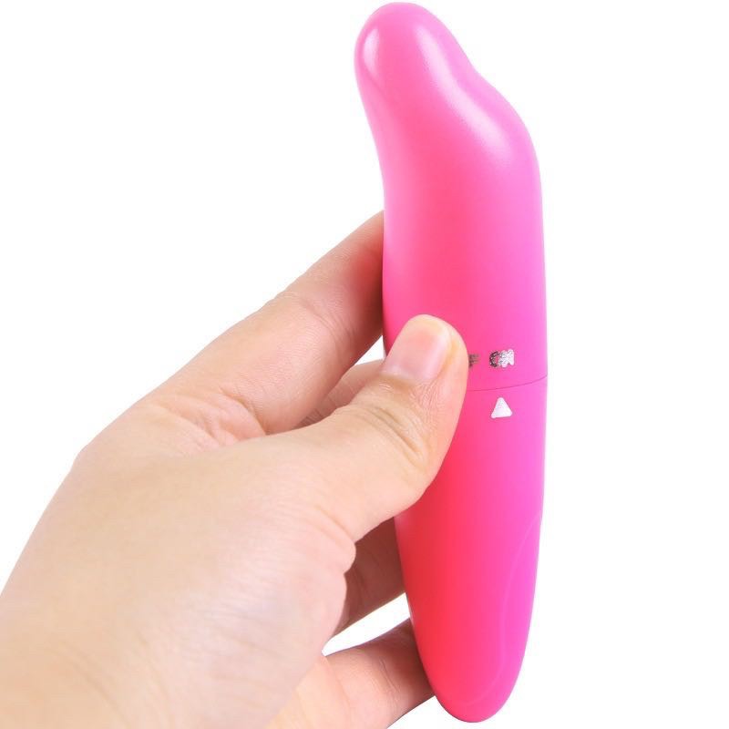 เครื่องนวดโลมา