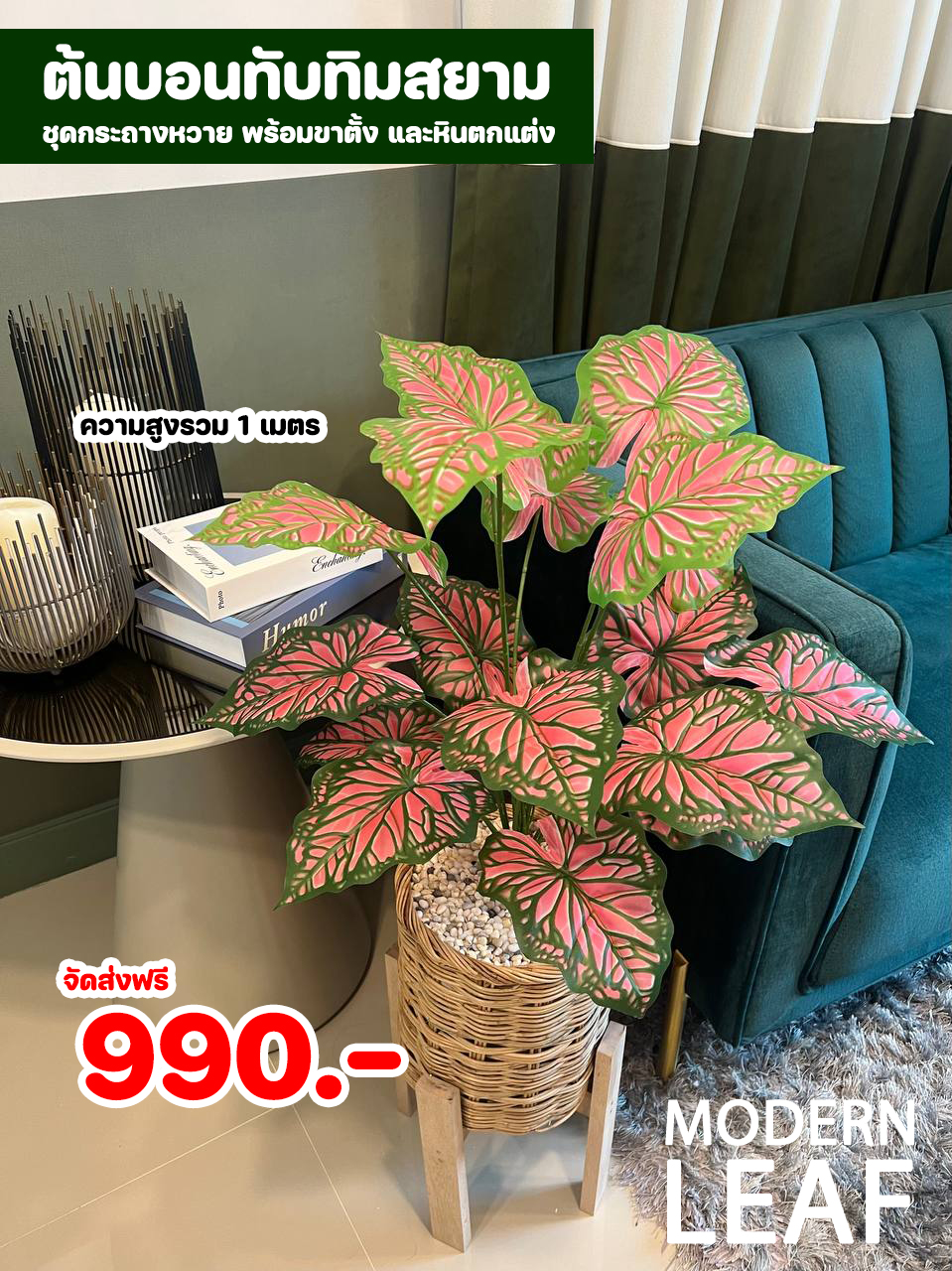 ต้นบอนทับทิมสยามปลอม ความสูง 1 เมตร ชุดกระถางหวาย พร้อมขาตั้ง