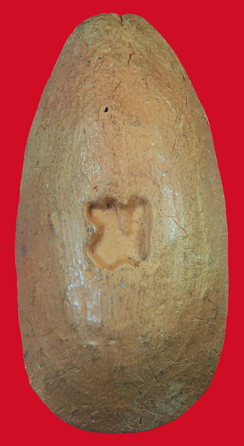 *37435 พระขุนเเผน แตงกวาผ่า หลังตราปั้ม ฆ ไม่เก่ามาก เนื้อดิน ไม่ทราบที่ 3