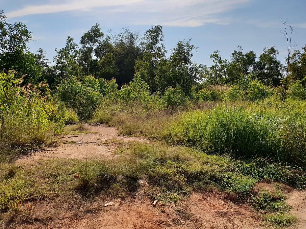 ขายที่ดิน พนมสารคาม 734 ตร.วา | เจ้าของขายเอง ฟรีโอน ฉะเชิงเทรา