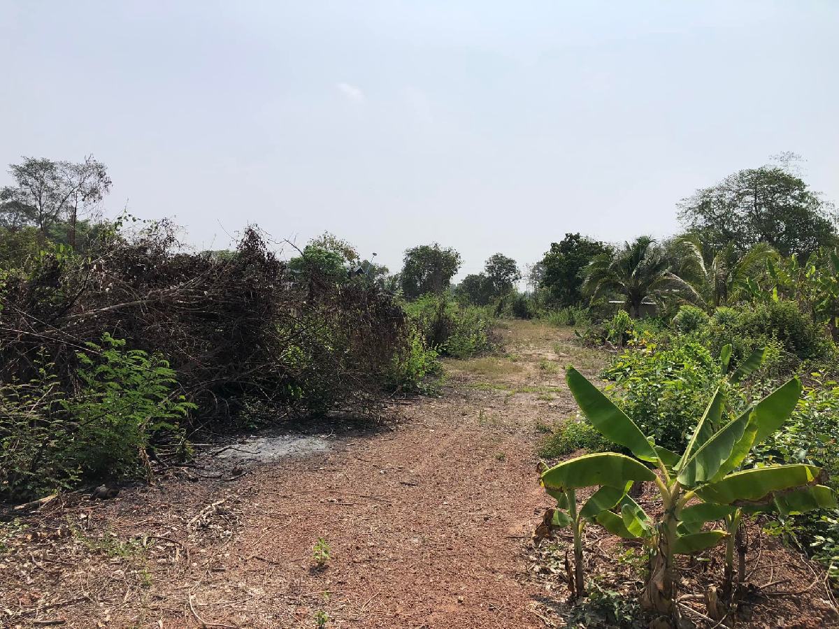 ขายที่ดินพนมสารคาม 3 งาน | เจ้าของขายเอง มีน้ำไฟพร้อม เหมาะปลูกบ้าน–ทำสวน