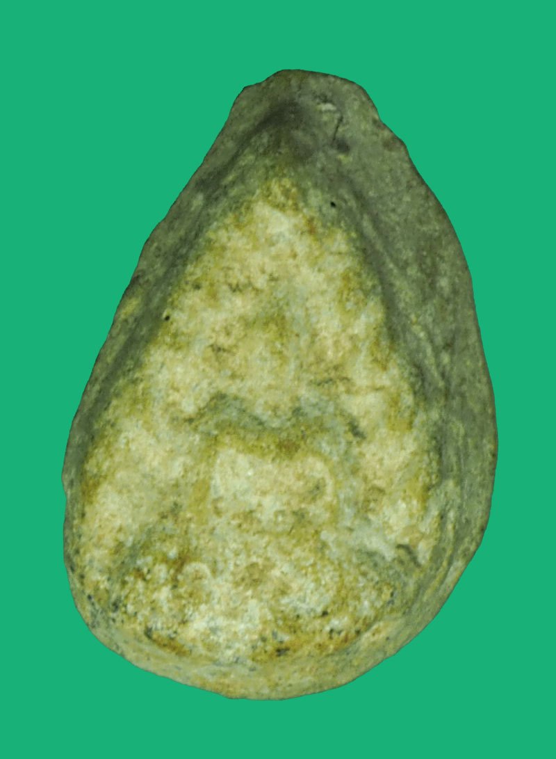 *40381 พระกลีบบัวพระครูใบฏีฏาเกลี้ยง วัดสุทัศน์ ปี 2475 - 2480เนื้อผงน้ำมันเก่าแห้ง (มีตัวอย่างบัตรรับรองจากเวปพระที่เชื่อถือได้ เพื่อเปรียบเทียบกับพระของทางร้าน)9