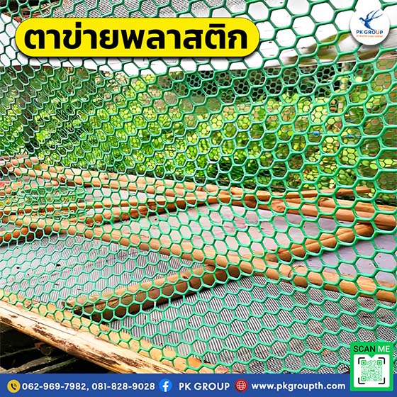 ตาข่ายพลาสติกหกเหลี่ยม ตาข่ายพลาสติกหกเหลี่ยม