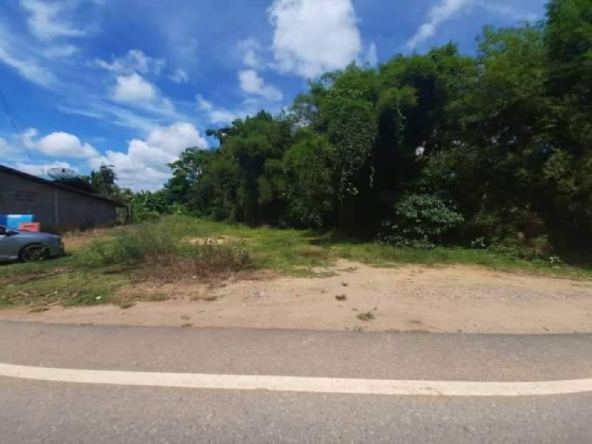 ขายที่ดินสนามชัยเขต 183 ตรว. ใกล้วัดบางมะเฟือง | เจ้าของขายเอง | ที่ดินฉะเชิงเทรา ทำเลดี ราคาถูก