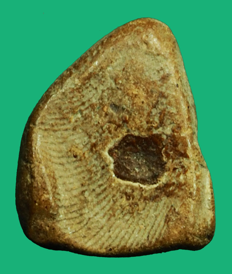 *36832 พระนางพญา กรุวัดลานดอกไม้ สุโขทัย เนื้อดิน 13