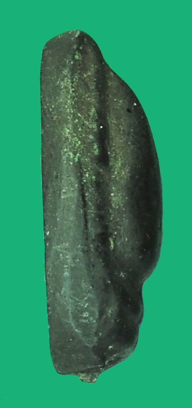 *38355 เม็ดเมฆพัทธ เก่าเจ้าของเดิมเลี่ยมจับขอบเปิดหน้า ไม่ทราบที่ 3