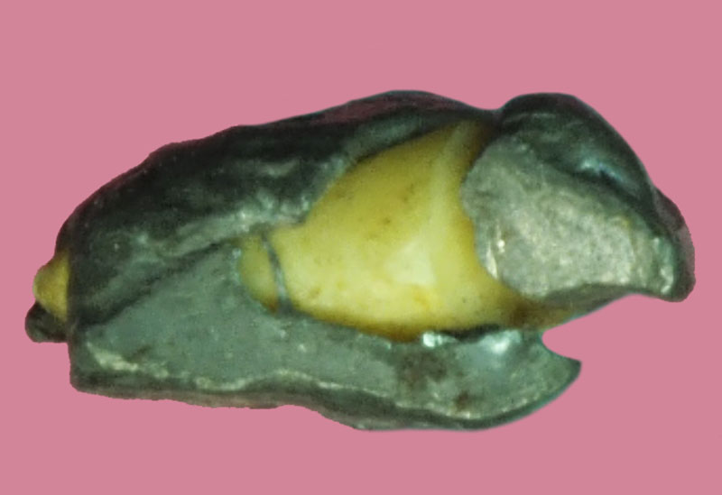 *37880 พระพุทธเนื้อชินตะกั่วฝังเขี้ยวหมาป่า พอมีอายุ ไม่ทราบที่และปีสร้าง 3