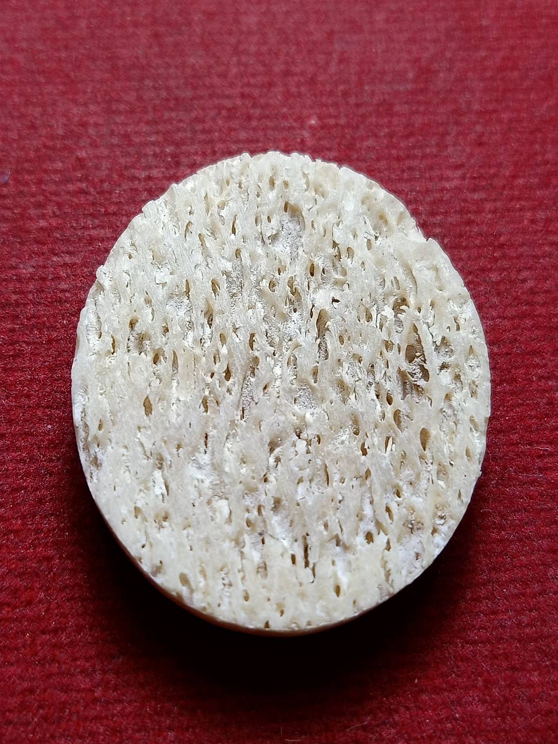 พระหลวงปู่ทวด หลวงปู่หงษ์เสก วัดเพชรบุรี จ.สุรินทร์ (SKU-12813)