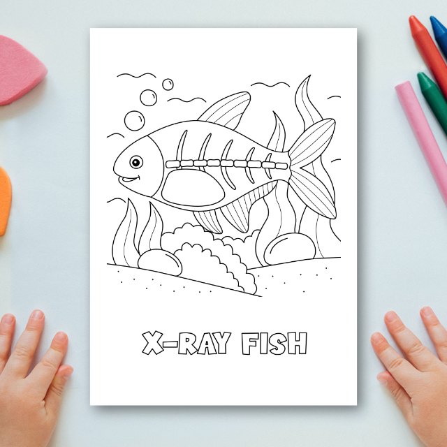 สมุดระบายสีสัตว์โลกใต้น้ำ Sealife Animals Coloring Book
