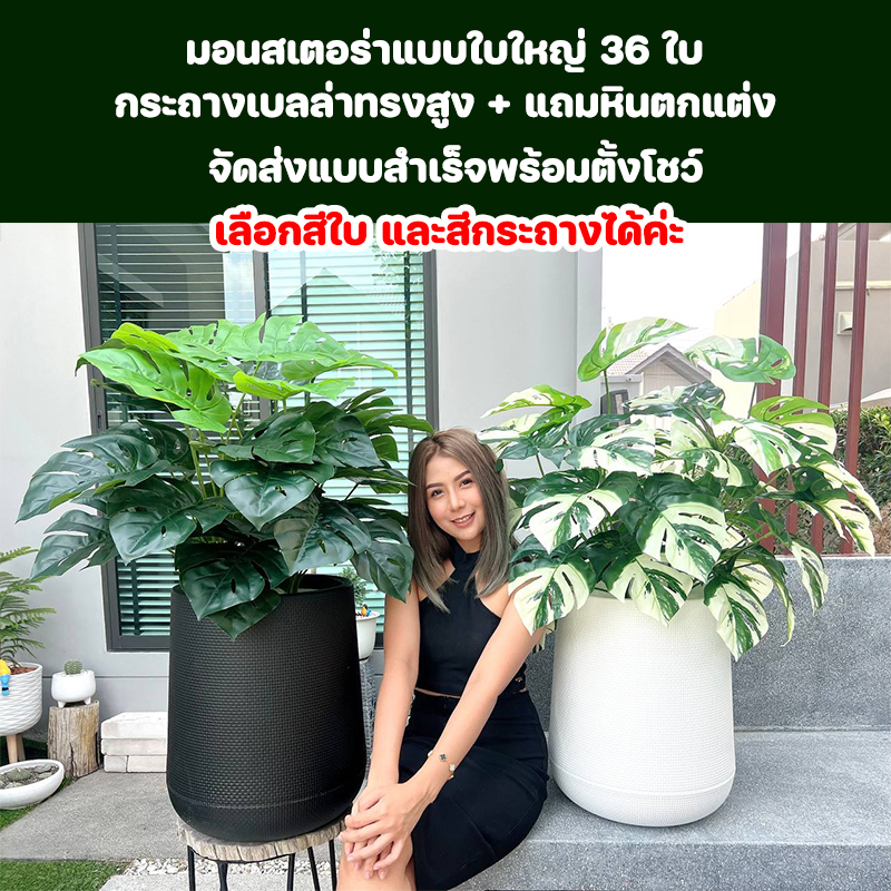 ต้นมอนสเตอร่าปลอมขนาดใหญ่ ใบใหญ่ ความสูง 1 เมตร
