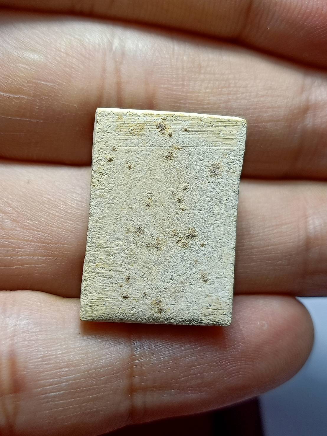 พระผงพิมพ์ปางประทานพร หลวงปู่ดู่ วัดสะแก จ.อยุธยา (มีจำนวน 10 องค์)(SKU-05867)