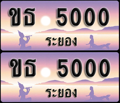 ทะเบียนรถ 5000 – ขธ 5000 ระยอง (1)