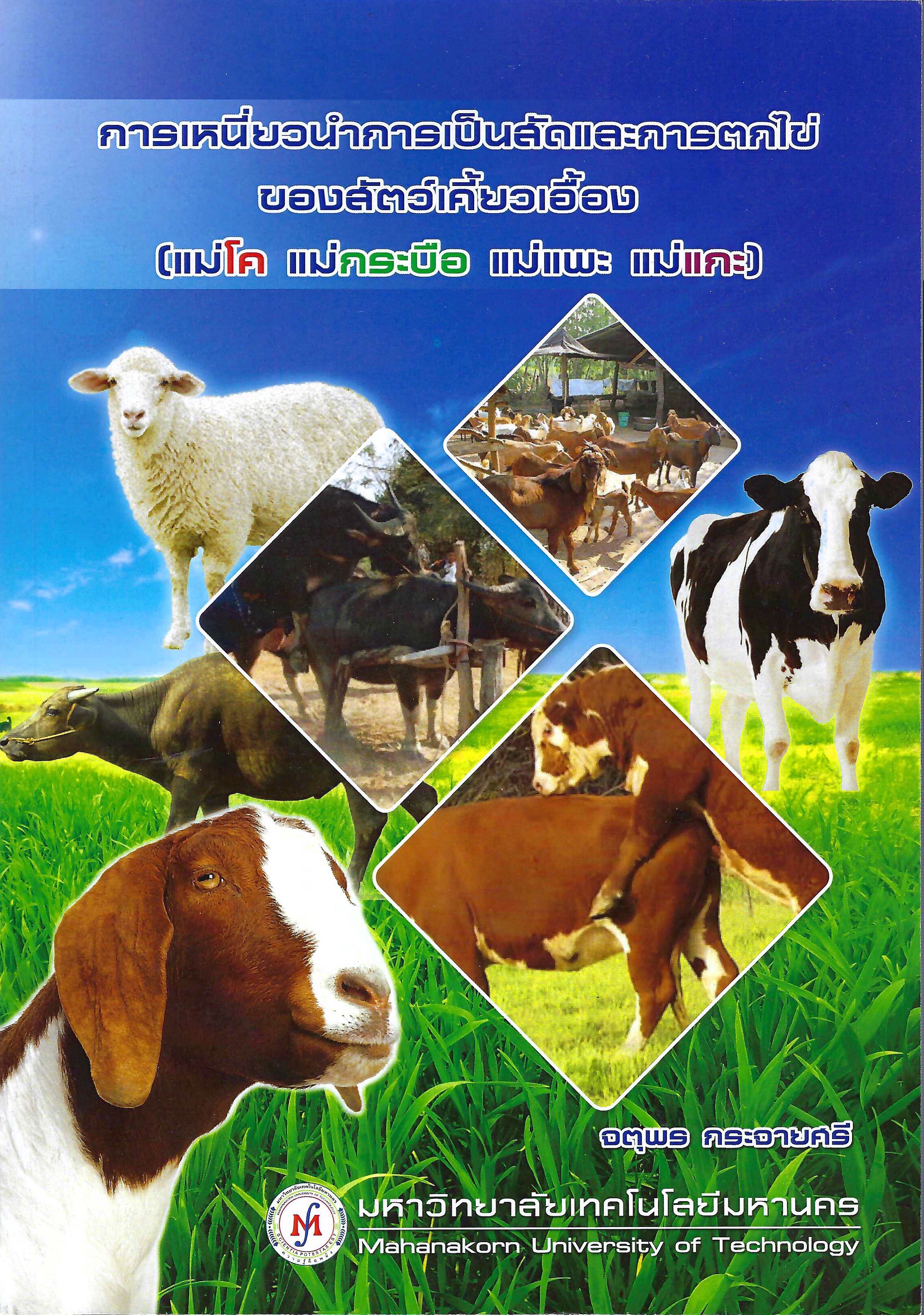 การเหนี่ยวนำการเป็นสัดและการตกไข่ของสัตว์เคียวเอี้ยง