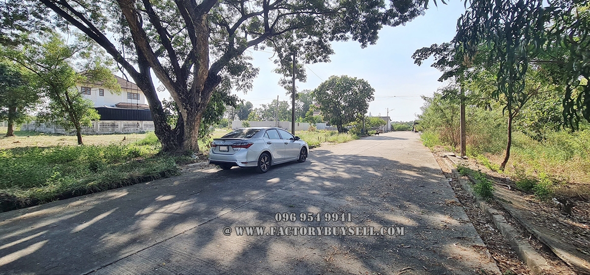 ขายที่ดิน สามโคก ปทุมธานี ถนนเลียบคลองเปรม เชียงรากน้อย ซอย2 (ซอยสวนมะม่วง) หมู่4 ติดถนนสาธารณะ พร้อมปลูกบ้าน