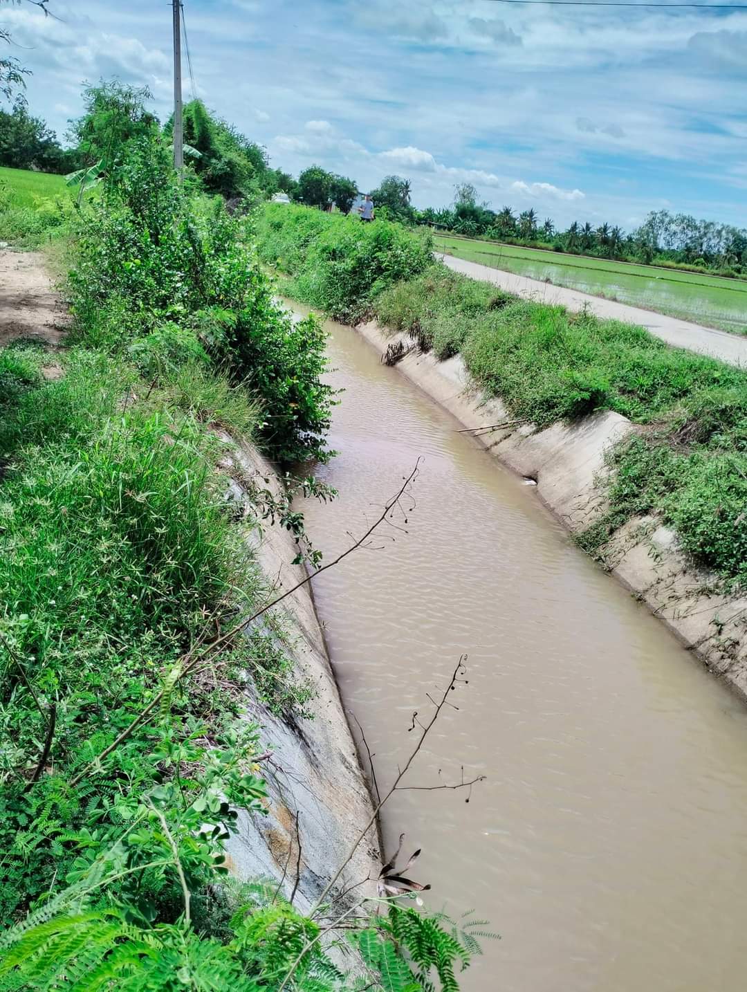ที่ดินที่นา พื้นที่ 11-1-90 ไร่ สามชุก สุพรรณบุรี