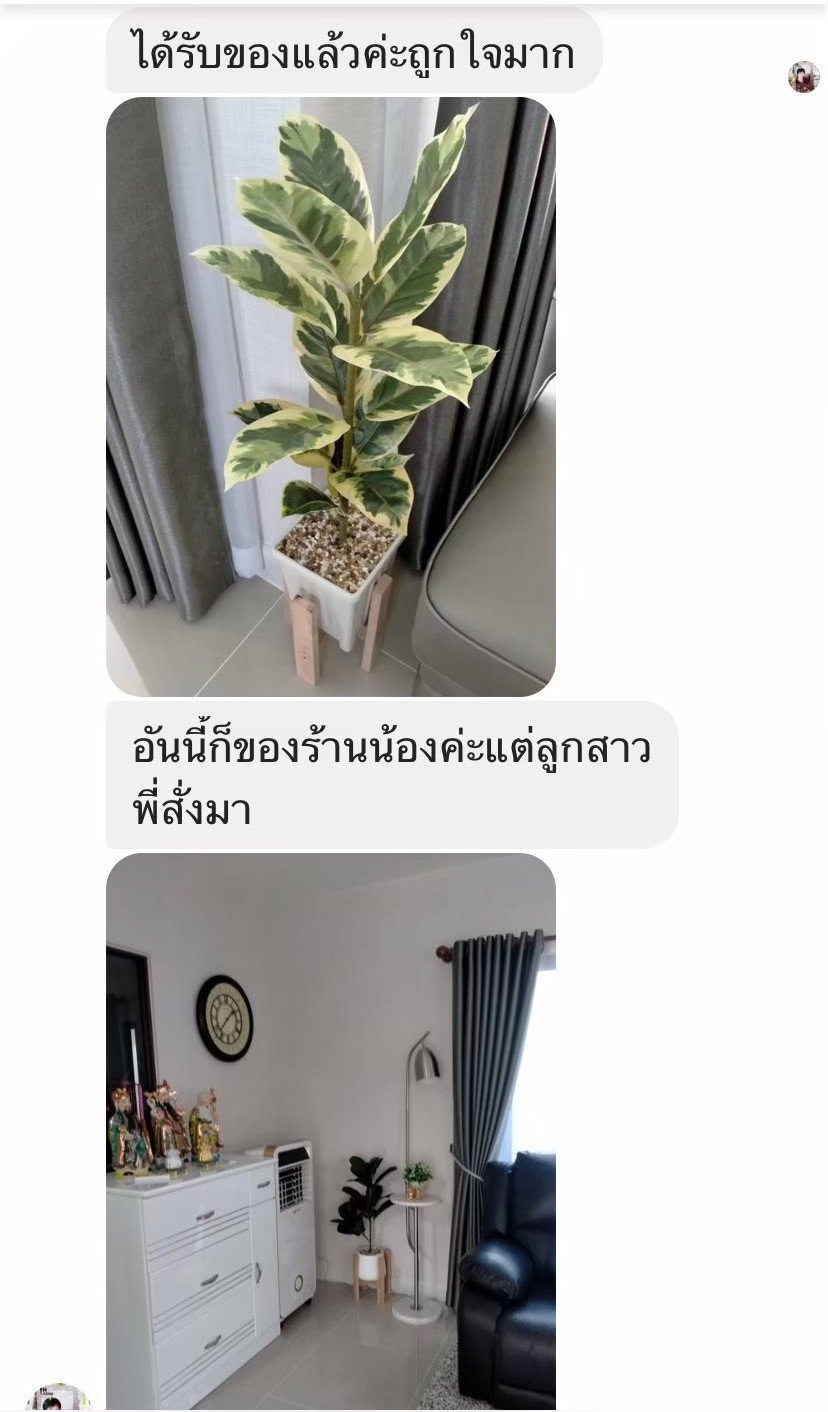 รีวิวต้นไม้ปลอมร้าน Modern leaf