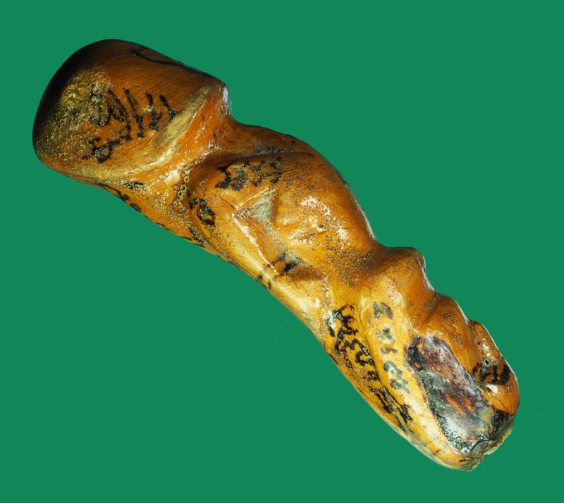 *31786 ปลัดขลิกหลวงพ่อกลั่น วัดอินทราวาส อ่างทอง 12