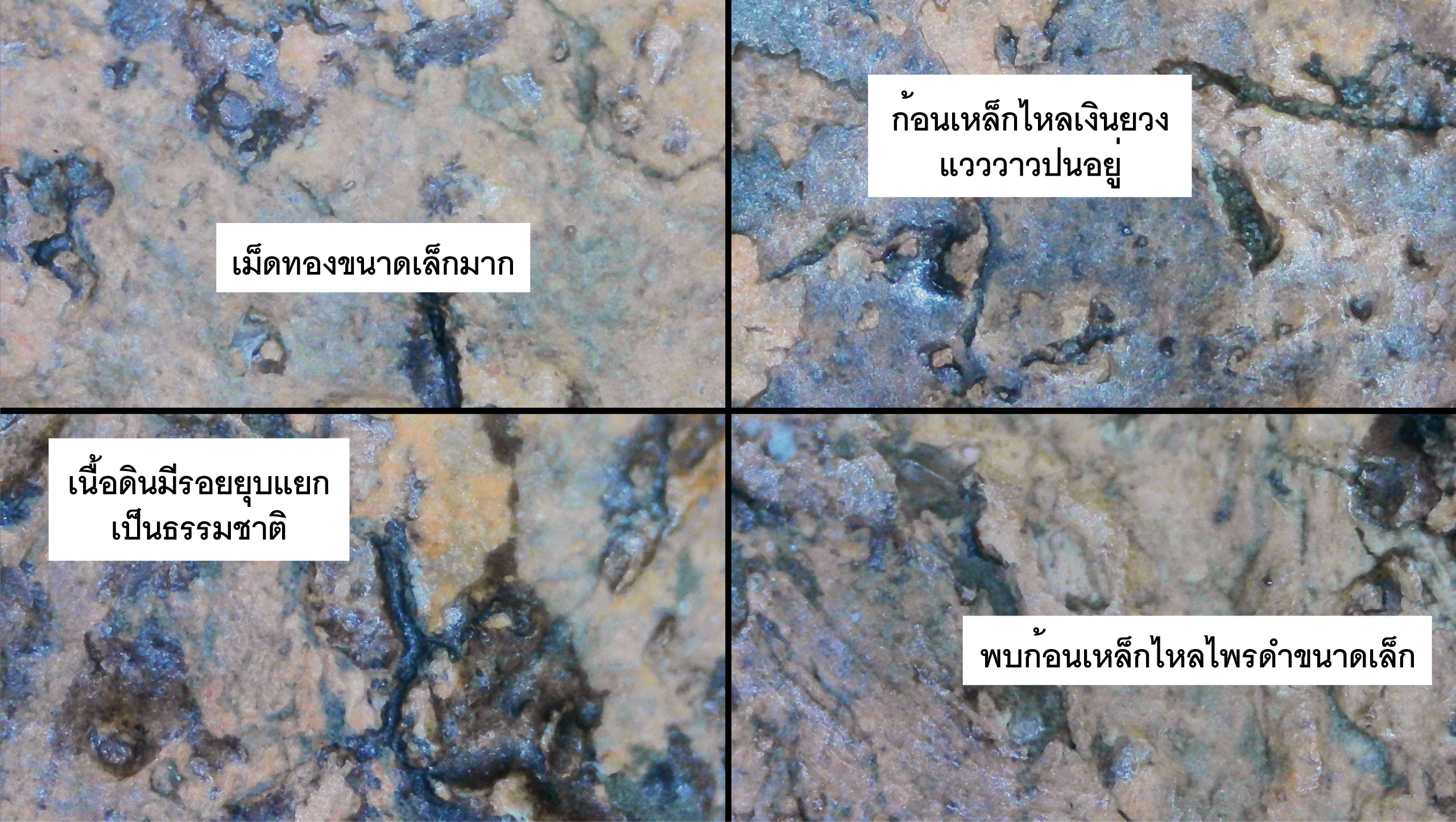 พระขุนแผนพิมพ์แขนอ่อน หลวงพ่อโหน่ง วัดคลองมะดัน เนื้อดิน