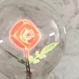 หลอดไฟแฟนซี รุ่น ดอกกุหลาบ