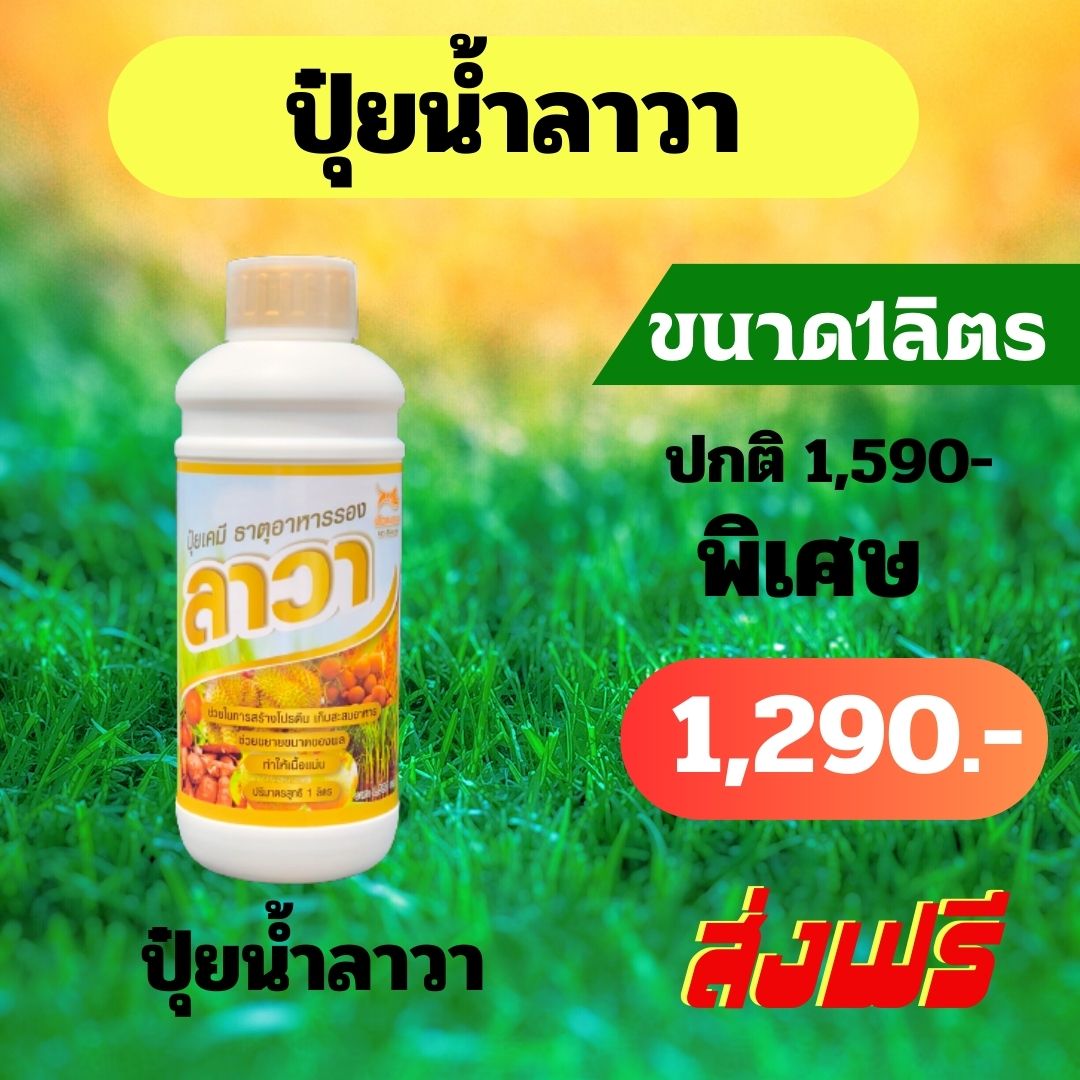 ปุ๋ยน้ำลาวา ชนิดเข้มข้น 1ลิตร