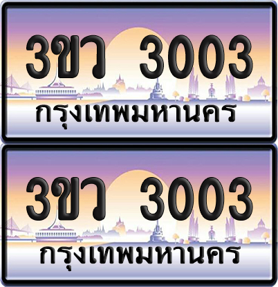 ทะเบียนรถ 3003 ป้ายประมูล - 3ขว 3003 พร้อมส่งมอบ (5)