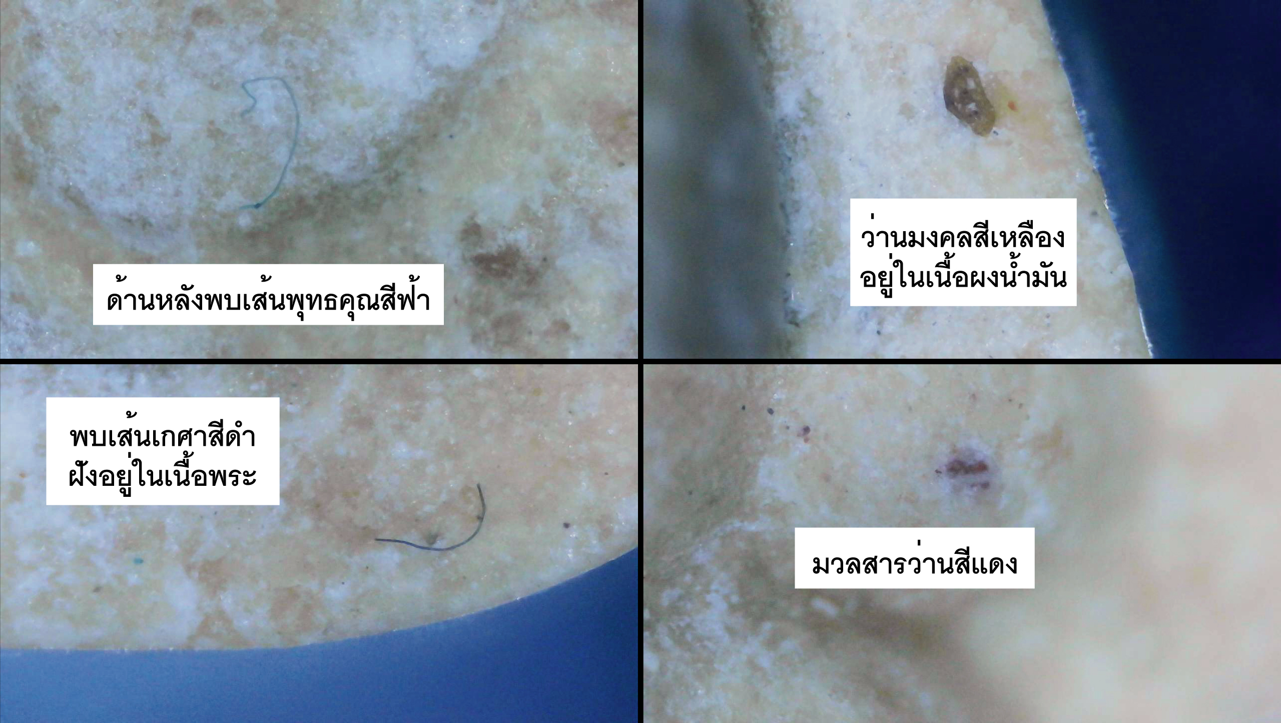 พระปิดตาหลวงพ่อกวย วัดโฆสิตาราม ปี 2515 เนื้อผงน้ำมัน พิมพ์หลังยันต์ครู