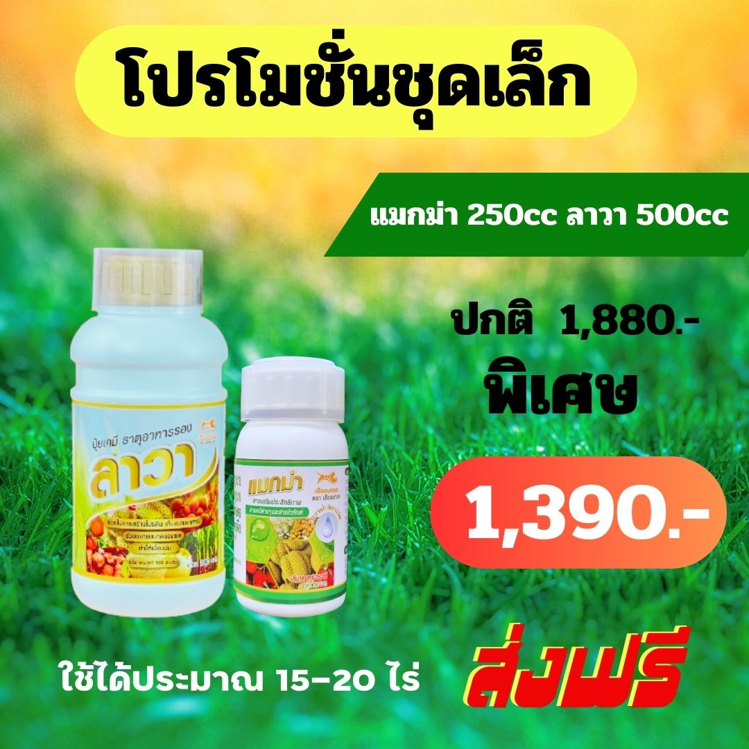 โปรโมชั่นชุดเล็ก แมกม่า250cc ลาวา500cc