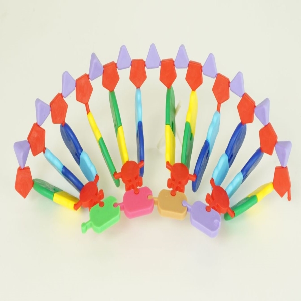 PHYWE RNS model, 24 bases, with tRNA and amino acids(protein synthesis)