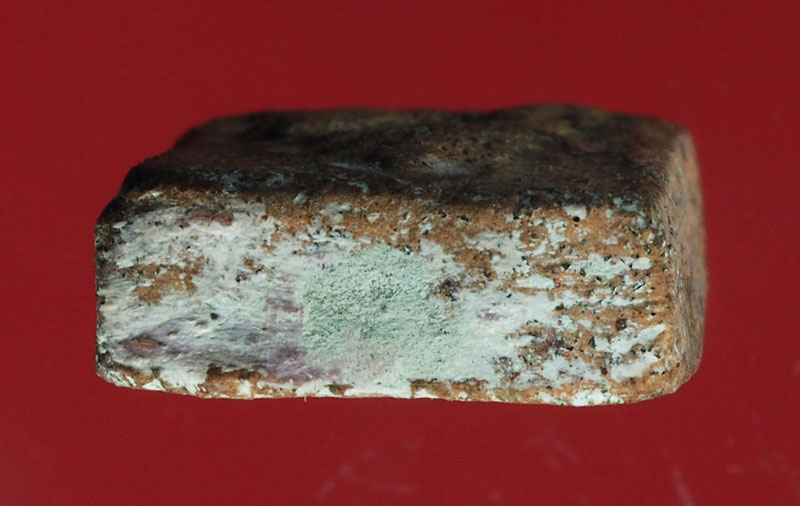 *28712 พระหลวงพ่อผาด วัดดงตาล ทรงสิงห์(กรุเก่า) หลวงพ่อปาน วัดบางนมโคปลุกเสก 13