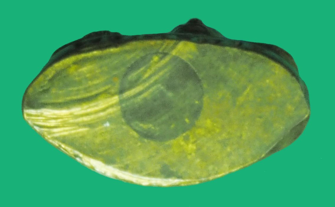 *38442 รูปหล่อปั้ม พระศรีอาริยเมตไตรย์ วัดไลย์ ปี 2500 ลพบุรี กริ่งดัง 7