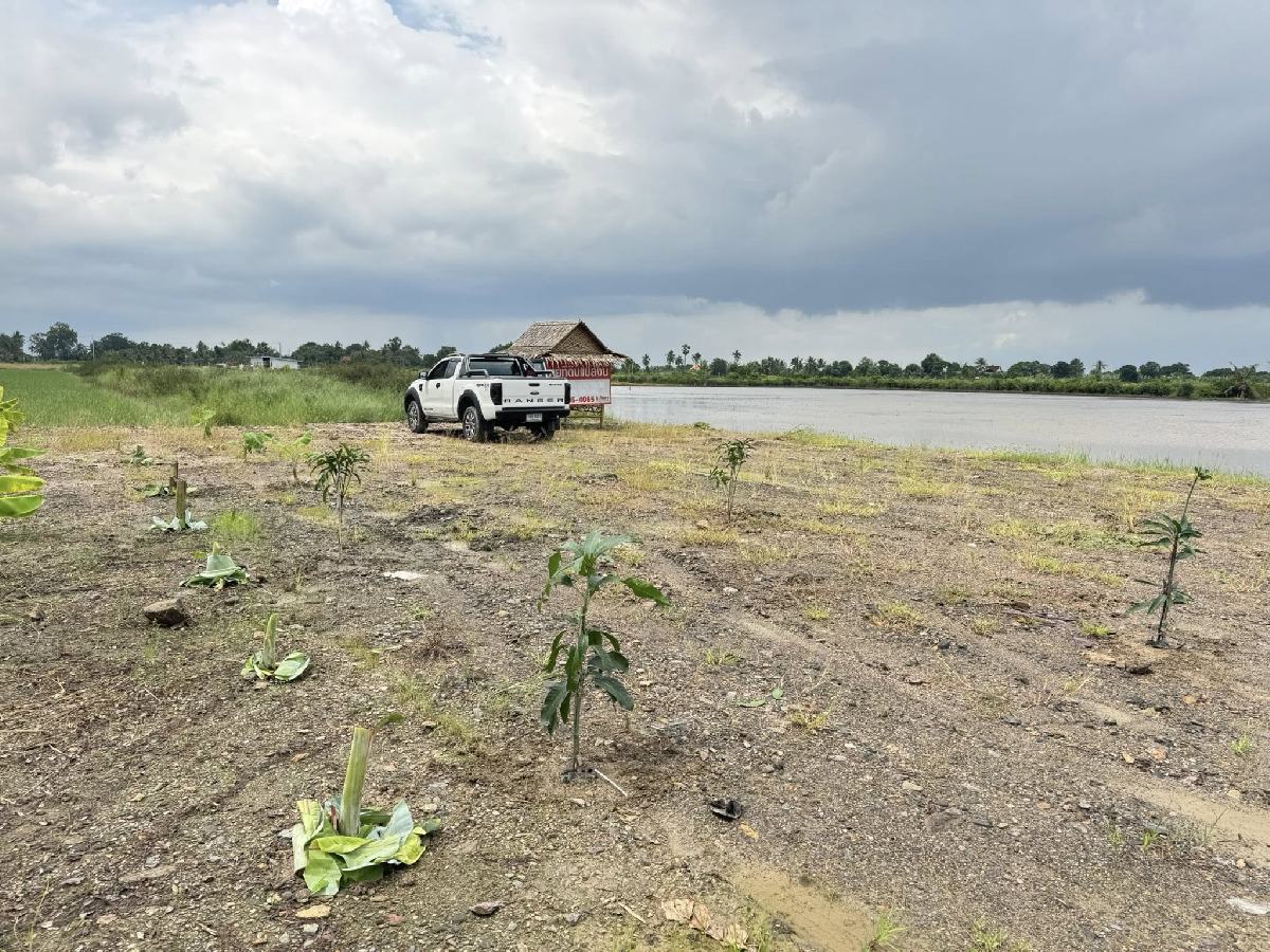ขายที่ดินสวน ฉะเชิงเทรา 1 ไร่กว่า | ถมแล้ว มีสระน้ำ เจ้าของขายเอง