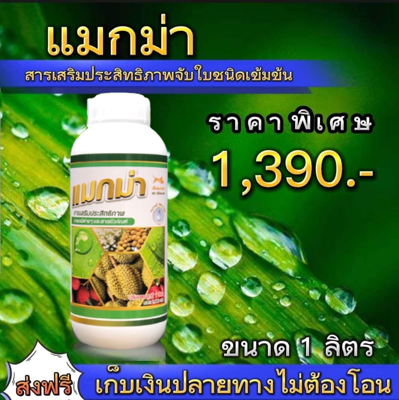 สารจับใบแมกม่า-Maxma 1 ขวด บรรจุ 1000 cc. สารเสริมประสิทธิภาพดูดซึมรวดเร็วสูตรเข้มข้นคุณภาพดีตัวช่วยประหยัดปุ๋ยและยาใช้ได้กับพืชทุกชนิด