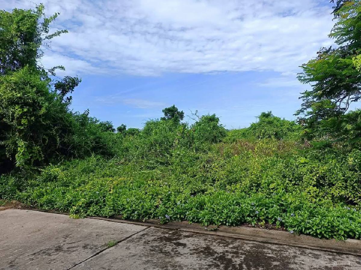 ขายที่ดิน บางปะกง 60 ตรว | ขายที่ดินฉะเชิงเทรา