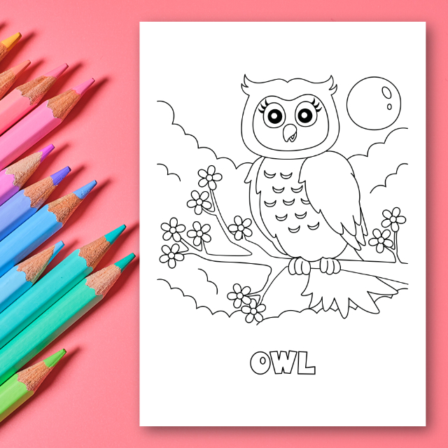 สมุดระบายสีสัตว์ป่า Woodland Animals Coloring Book