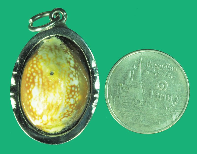 *38900 เบี้ยแก้ เลี่ยมสแตนเลส ไม่ทราบที่และปีสร้าง 12