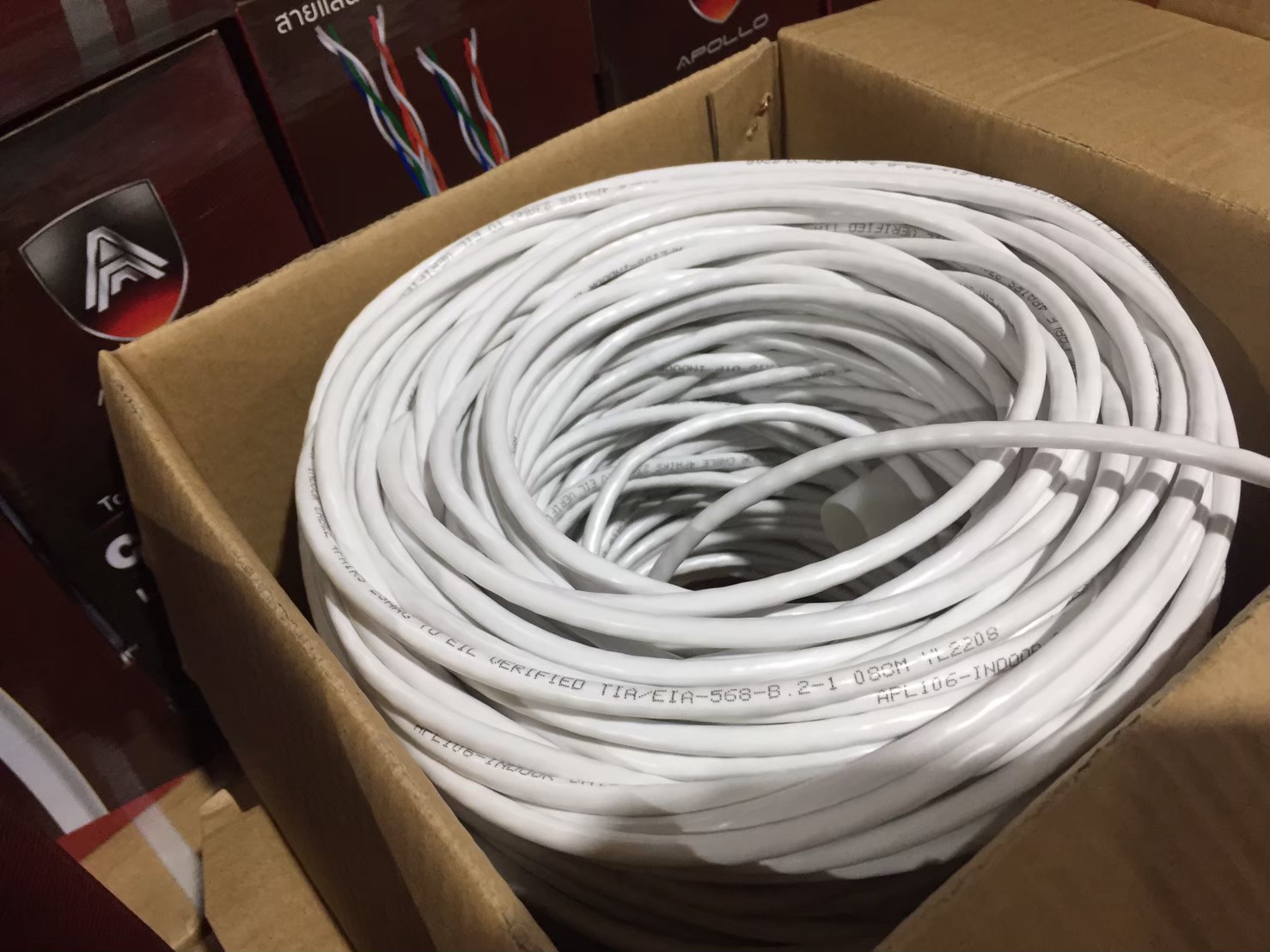 Apollo สายLAN CAT6 UTP รุ่น APL106-INDOOR 100M.