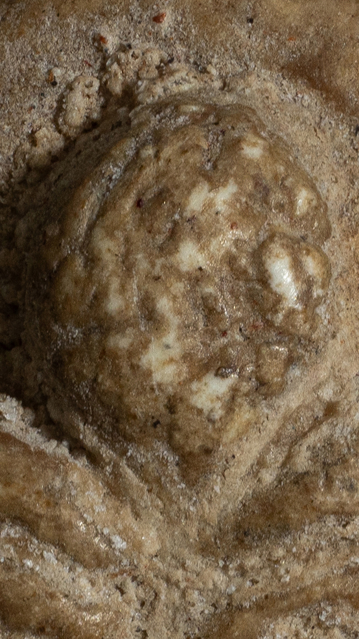 พระปิดตาพิมพ์จั๊กจั่น กรุวัดอัมพวา