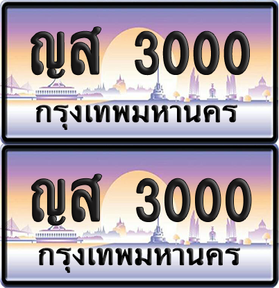 ทะเบียน 3000 ป้ายประมูล - ญส 3000 ผลรวมดี 14 พร้อมส่งมอบ จากกรมขนส่ง (6)