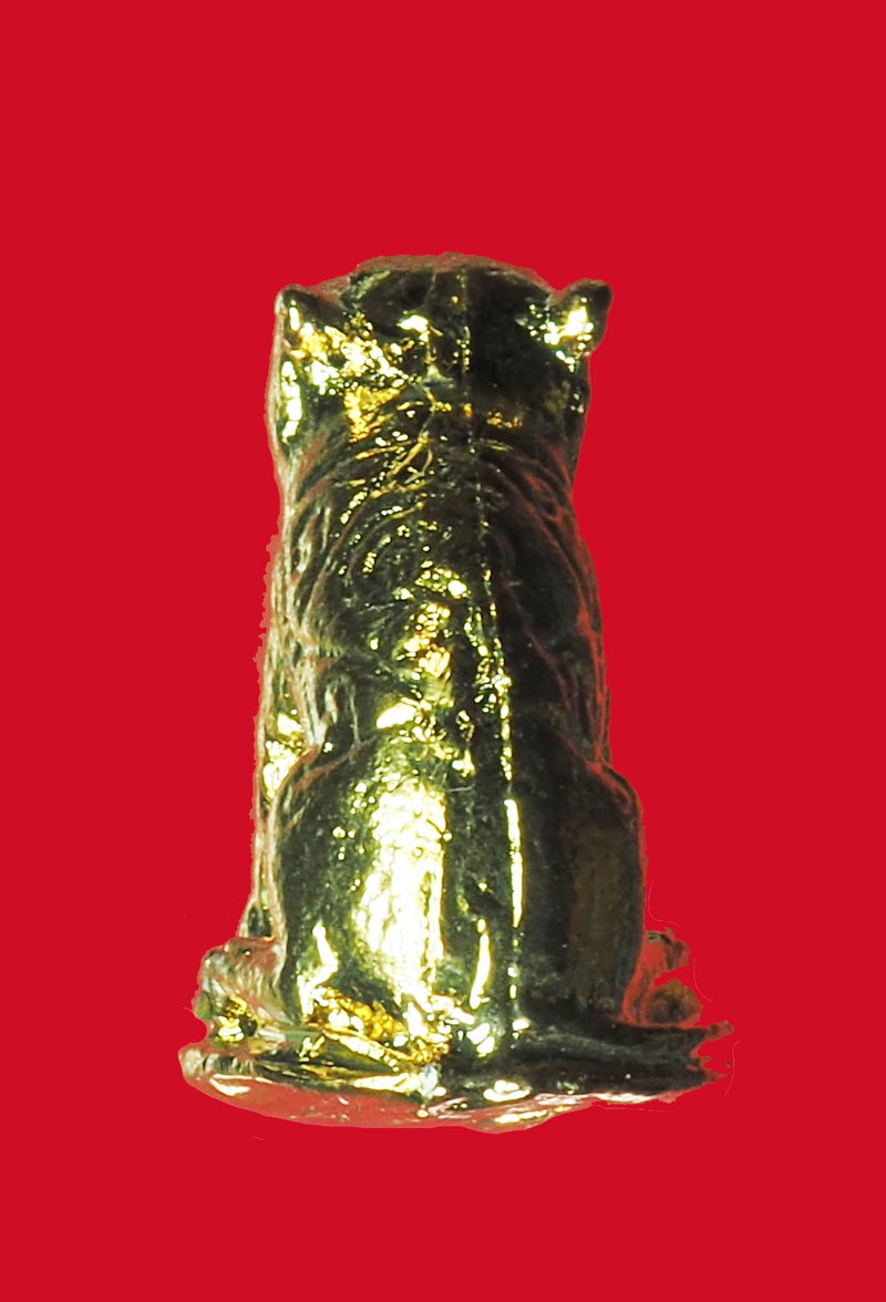 *32085 เสือตะกั่ว ชุบทอง ไม่ทราบที่และปีสร้าง 12