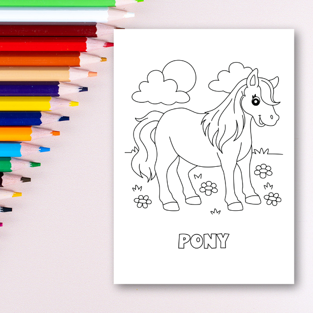 สมุดระบายสีสัตว์ป่า Wildlife Coloring Book