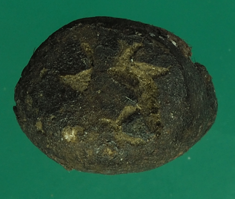 *27518 พระเม็ดบัวเนื้อผงผสมว่าน หลวงพ่อชื่น วัดป่ามุนี 24xx อ่างทอง 9