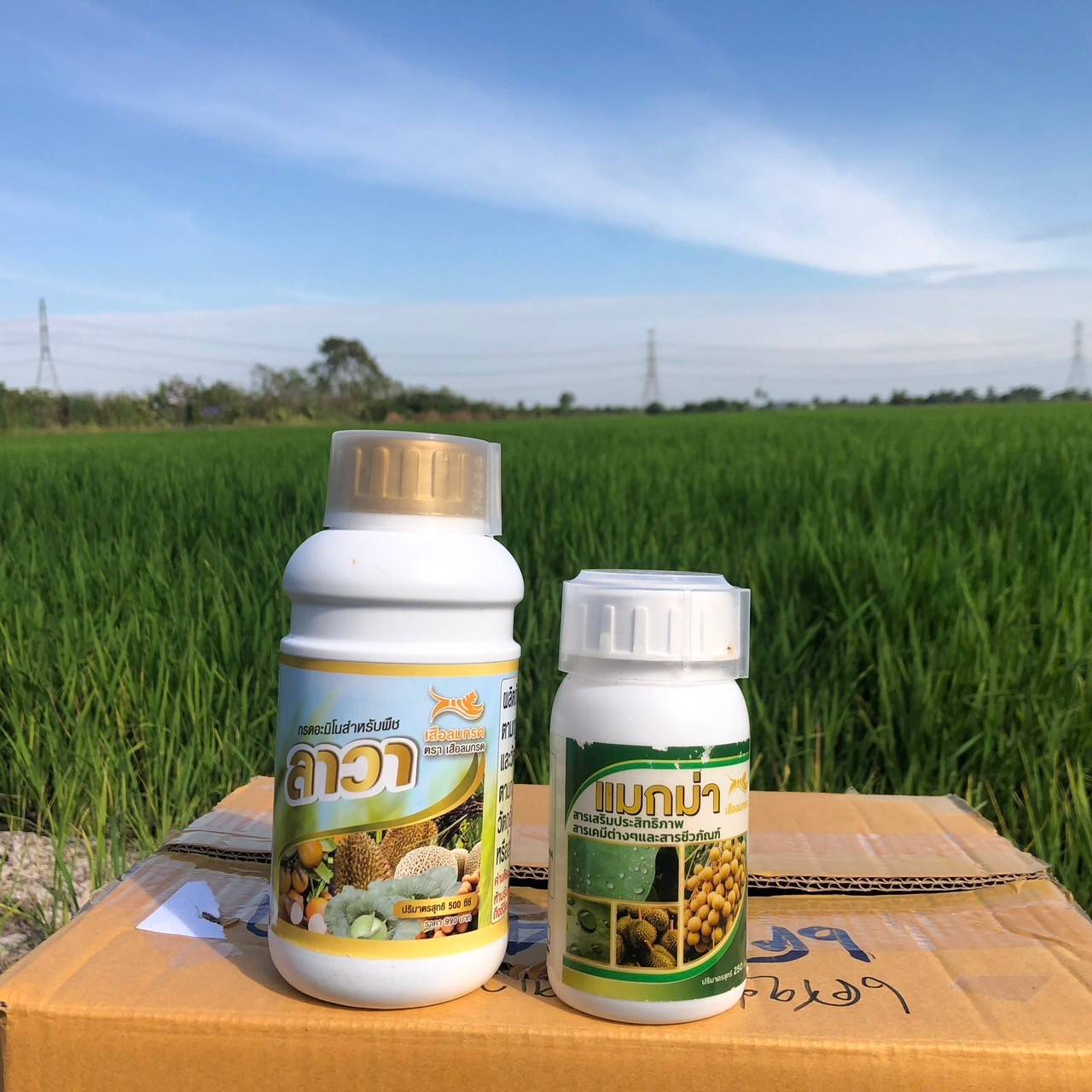 โปรโมชั่นชุดเล็ก แมกม่า250cc ลาวา500cc