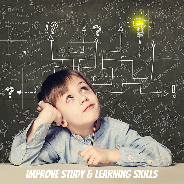 Mind Mapping Journal 1 สมุดโน๊ตฝึกทำมายแมพ ช่วยพัฒนาทักษะการเรียนรู้