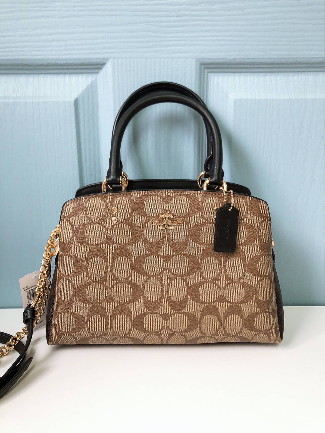 COACH Mini Carryall In Blocked Signature Canvas