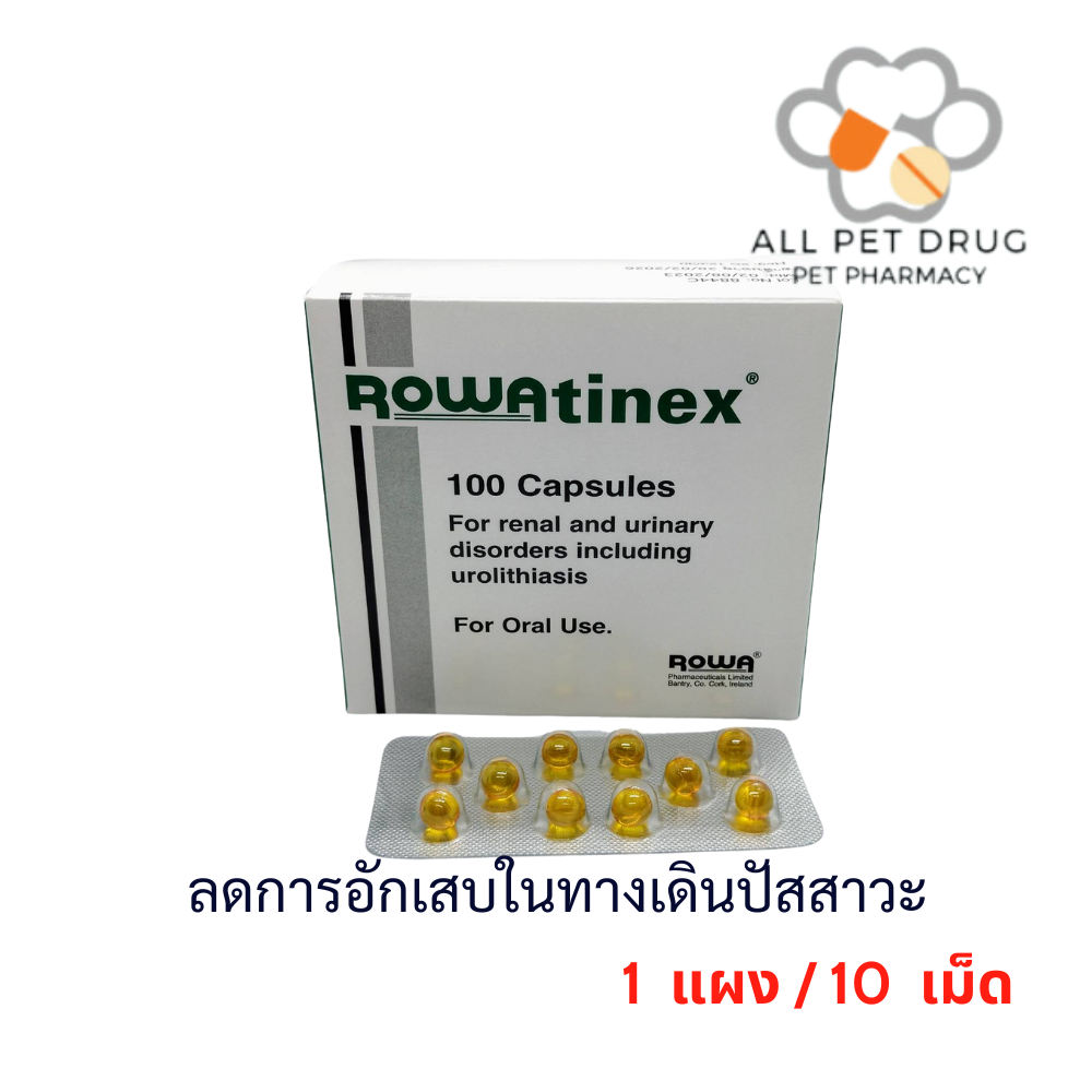 Rowatinex (1 แผง/10เม็ด) ลดการอักเสบในทางเดินปัสสาวะ