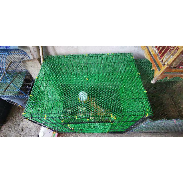 ตาข่ายพลาสติกหกเหลี่ยม สีดำ-สีเขียว ขนาดกว้าง90 ซม. ยาว 30 เมตร (ราคารวมแวท) ถูกที่สุด
